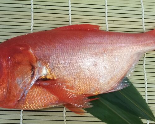 IMG_20201230_162817_778